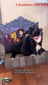 20K views · 808 reactions | My my _R | Chisel.Me.Timbers by Davey Jones | Facebook