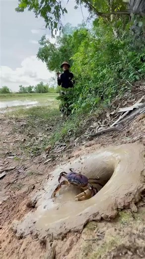 Essential Survival Skills for Forest Exploration