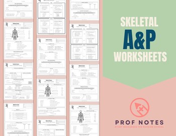 Skeletal System Worksheets   Answer Key | Anatomy & Physiology | Mini-Series