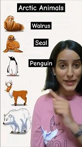 Arctic animal names #animals