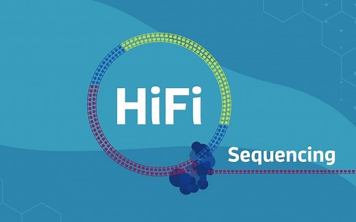 【测序技术】三代测序PACBIO HIFI介绍