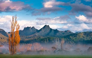 Shoreline Management Pathways Project