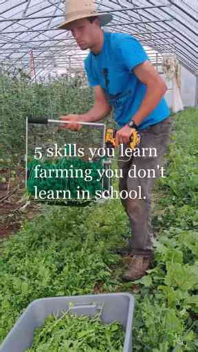 Farming vs. School – Why the Land Teaches More Than the Classroom!