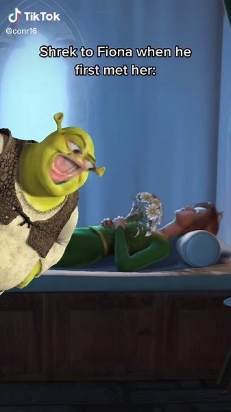 Unraveling the Fiery Redhead Mystery in Shrek | Shrek and Fiona Meet