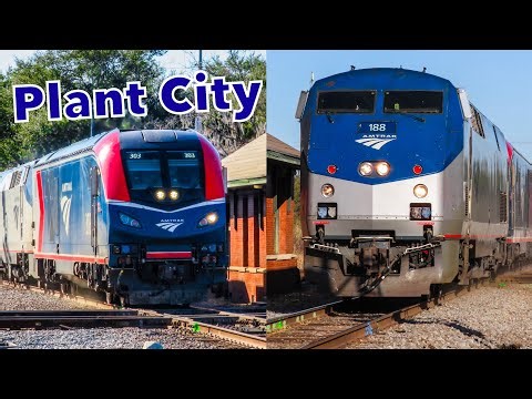 Amtrak Trains in Plant City w/ Shave and a Haircut + CSX Tropicana Intermodal!