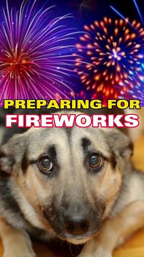 98K views · 3.2K reactions | I’ve intercepted my fair share of dogs...