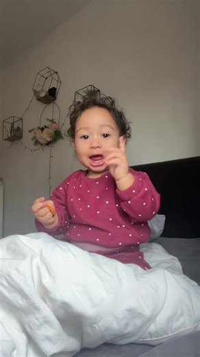 Bilingual Baby Language Development Insights