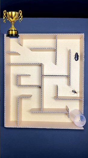 Speed Test: Beetle vs Cockroach in a Maze