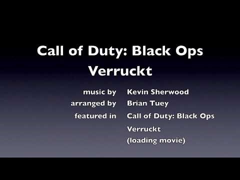 Call of Duty: Black Ops - Verruckt loading screen nazi zombies Kevin Sherwood