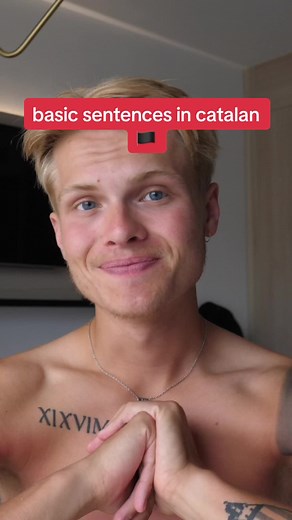 Learn Basic Catalan Phrases for Language Learning