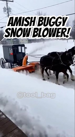 Amish buggy with a snow blower! #snow #amish #cool