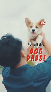 To all the Dog Dads in the world--Happy Father's Day!! Your furbabies are so thankful to have such a loving dad! | iHeartDogs