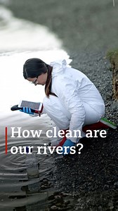 2.6K views · 32 reactions | The BBC has seen footage of what looks like untreated sewage being discharged into the River Thames in Oxfordshire. Read more: https://bbc.in/3tNR8mQ | BBC Hampshire & Isle of Wight | Facebook