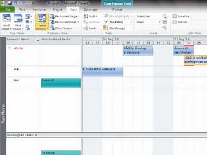 Team Planner View - Project 2010