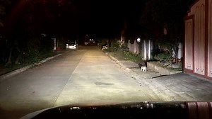 141 reactions · 71 comments | The new Dual Color XHP70s H4 from LED...