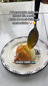 302K views · 3.3K reactions | Adoçamento amoroso ✨ cienreserva #simpatia #endulzamiento #amor #hechizo #CapCut | Mago Paulo Maciel | Facebook