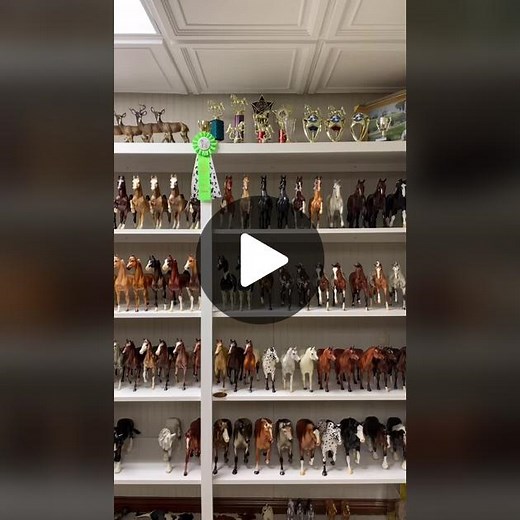 Steingaiter Breyers on TikTok