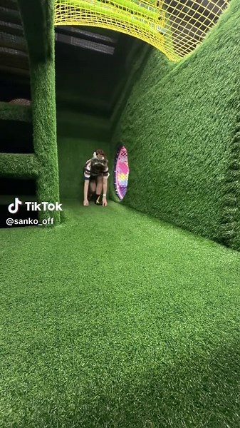 Exploring Quadrobics: The Dance Workout Phenomenon