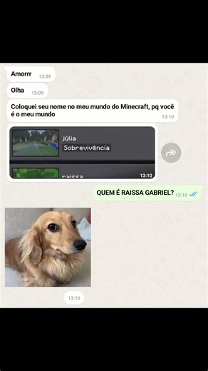 Ele tentou ser fofo, mas o Minecraft traiu ele... 💀 #shorts