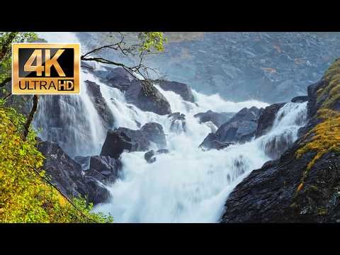 Deep Sleep River Sounds | White Noise for Restful Sleep (No Ads)