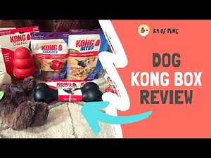KONG Dog Subscription Box Review