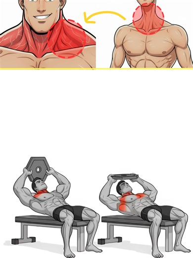 Effective Neck Workout: Bench Extensions and Flexions