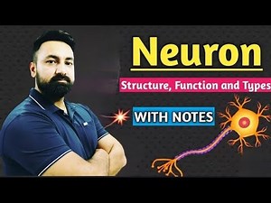Class X Biology Structure of Neuron!!!