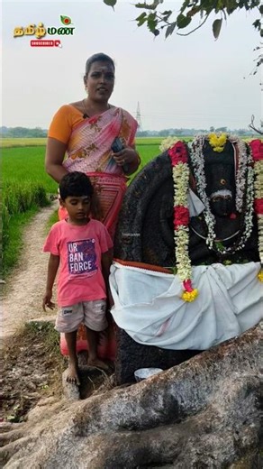 A 1000-year-old Nataraja statue in the middle of the fields. save Tamil History