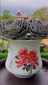 How To Repot Succulents 🪴 Easy Step-by-Step Guide for Beginners