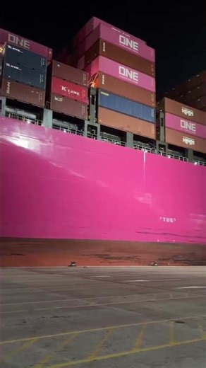 This ship is loading and unloading containers #shortvideo #shorts #container #containership