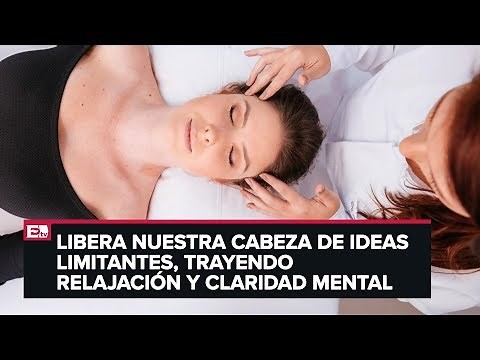 Punto y coma: ¿Qué son las Barras de Access?