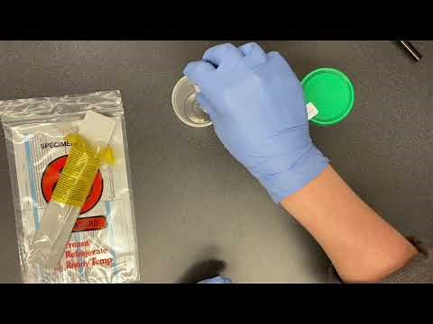 Fidalab's Aptima Urine Specimen Collection Kit Training Video