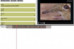 Online Video Editor