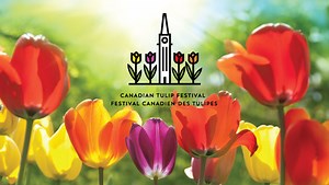 Site is undergoing maintenance