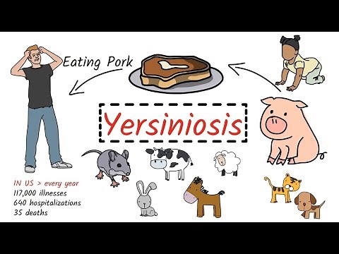 Yersiniosis - Yersiniosis : Causes, Symptom, Pathogenesis, Diagnosis, Treatment