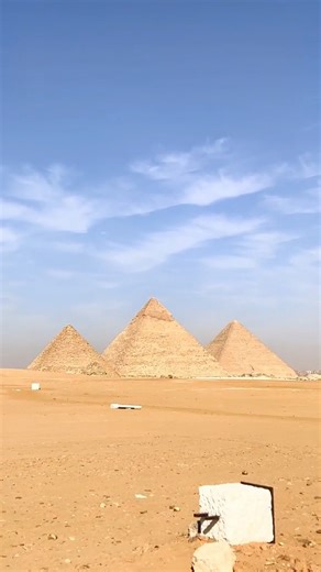 70K views · 1K reactions | The evidence we have today suggest this | Sam Mayfair | Facebook