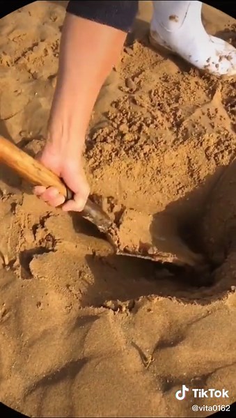 teach you how to dig a razor clam. #razorclams #fyp #foryou