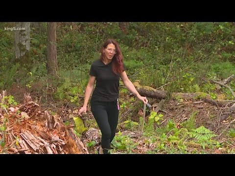 One year after stolen Horizon plane crash, scars remain on Ketron Island in Pierce County