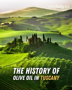 1.3K reactions · 571 shares | The history of olive oil in Tuscany: a product of excellence 㮝 https://bit.ly/TuscanOil | Visit Italy | Facebook