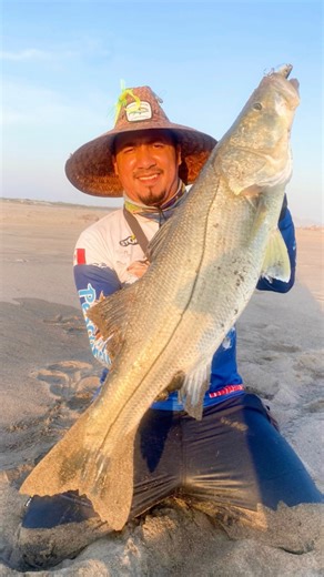 38K views · 1.2K reactions | Pescando robalo酪 #fishing #snookfish #viralvideo #señuelo #caña #CañaPesca | Javier Luna - pesca | Facebook