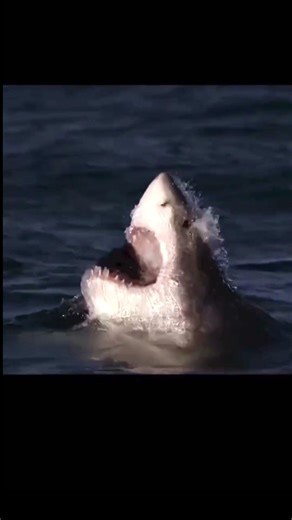 When she train with me