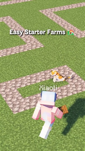 Mcxiaoli on Instagram: "Minecraft Easy Starter Farms | Tutorial 🏡 62 #minecraft #minecraftbuilds #minecraftbuilding #minecrafttutorial"