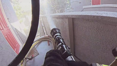 Dramatic video shows Orange County firefighters rescue cats from burning building