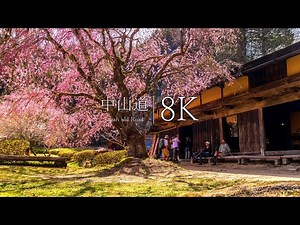 【Samurai Trail】Walking the Historic Nakasendo from Magome-juku to Tsumago-juku - JAPAN in 8K