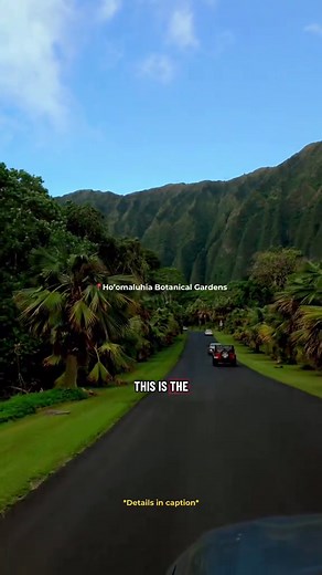 📍Ho’omaluhia Botanical Gardens in Oahu, Hawaii! Here is everything you should know about going, all in one Hawaii Travel Guide: 1. Open from 9am-4pm everyday except Thursdays & some holidays 2. Go early for less people, they let us in at 8:55am, you can wait on the street just before the gate but be mindful not to block any driveways 3. The iconic view everyone films is right after you enter the gate, slow down and enjoy it 4. There is more to the park than the first view, check out the visitor