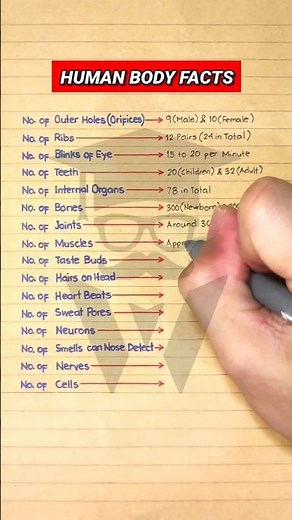Interesting Facts About the Human Body