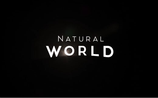 自然纪录片 《自然世界》【全5集】【英语 中英双字幕】 1080P+