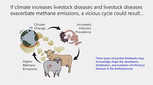 VIDEO: CARTA: Human Origins and Humanity’s Future: Past, Present and Future of the Anthropocene on The Ecology and Evolution of Infectious Diseases with Vanessa Ezenwa