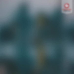 111 shares · 125 comments | Start a new life in Canada! Our certified specialists will make your immigration process easy, affordable & reliable. | CanadianVisa.org | Facebook