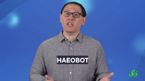 Tracking plant genetics through art